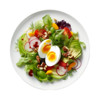 ai generiert Gourmet Salat auf ein Weiß Teller auf transparent Hintergrund. png