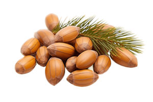 AI generated Pine Nut on Transparent Background. AI png