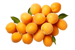 AI generated Apricots on Transparent Background. AI png