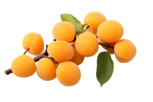 AI generated Apricots on Transparent Background. AI png