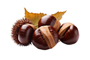 AI generated Chestnuts on Transparent Background. AI png