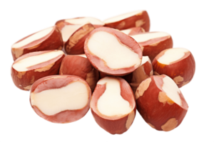 AI generated Brazil Nut on Transparent Background. AI png