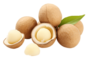 ai gegenereerd macadamia noot Aan transparant achtergrond. ai png