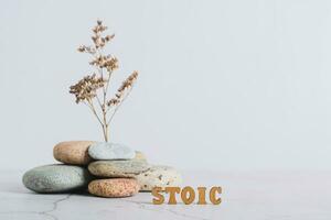 Concept stoicism word made from letters on a background of dried flowers in stones on a gray photo