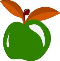 a green apple with leaves vector