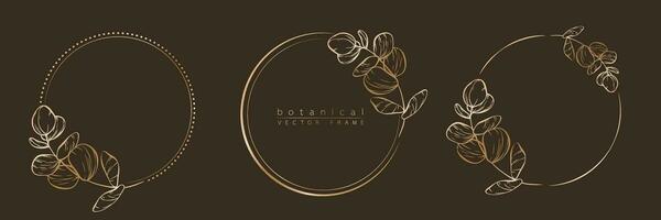 Botanical golden circle frame set. Hand drawn round line border, leaves and flowers for wedding invitation and cards, logo design, social media and posters template. Elegant minimal floral vector. vector