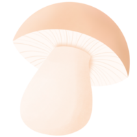 une champignon sur une transparent Contexte png