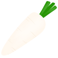 carota, carota, carota, carota, carota, carota, carota, carota, carota, png