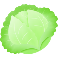cabbage leaf clipart png