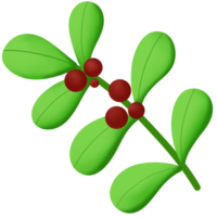 a green leaf with red berries on it png