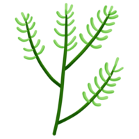 un verde planta con hojas en un transparente antecedentes png