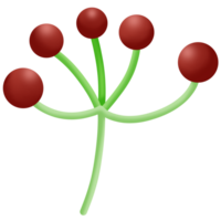 a red and green plant with four berries png