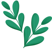 green leaves on transparent background png