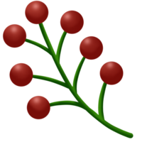 a red berry branch with green leaves png