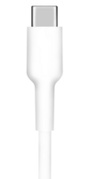 ein Apfel Blitz zu USB Kabel auf ein transparent Hintergrund png