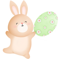 Pascua de Resurrección conejito clipart png