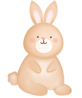 lapin clipart - lapin clipart png