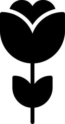 Glyph Icons Design