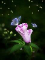 de cerca de un delicado mariposa en un floreciente flor foto