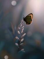 de cerca de un delicado mariposa en un floreciente flor foto