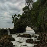 Tranquil Beach with Isolated Tree on Rocky Cliff Overlooking Ocean photo