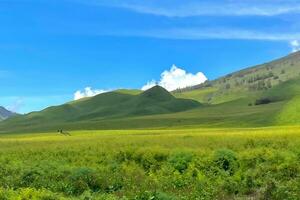 tranquilo campo paisaje con verde césped y azul cielo foto