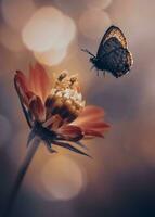 de cerca de un delicado mariposa en un floreciente flor foto