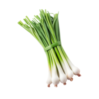 AI generated Fresh spring onions isolated on transparent background png