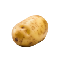 AI generated Potato isolated on transparent background png