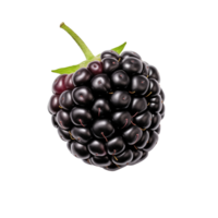 AI generated Blackberry fruit isolated on transparent background png