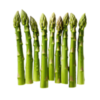 AI generated Green asparagus isolated on transparent background png