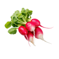 AI generated Red radish isolated on transparent background png