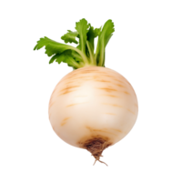 AI generated Fresh white radish isolated on transparent background png