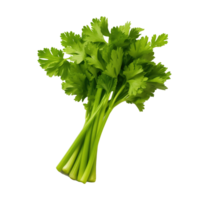 AI generated Fresh celery bunch isolated on transparent background png