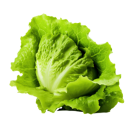 AI generated Lettuce isolated on transparent background png