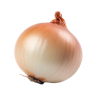 AI generated Onion isolated on transparent background png