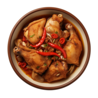AI generated Bowl of spicy chicken soup on transparent background png