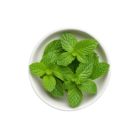 AI generated Top view of fresh peppermint leaves in bowl isolated on transparent background png