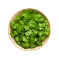 AI generated Bowl with fresh green parsley on transparent background png