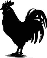 Vector illustration. Black silhouette of a rooster standing on one leg. Isolated on a white background.