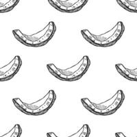 Seamless pattern with coconut doodle for decorative print, wrapping paper, greeting cards, wallpaper and fabric vector