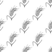 Seamless pattern with wheat doodle for decorative print, wrapping paper, greeting cards, wallpaper and fabric vector