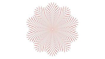 Abstract spiral dotted spinning red and white vortex style flower background. vector