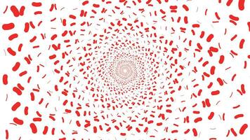 resumen espiral punteado hilado rojo y blanco vórtice estilo flor antecedentes. vector