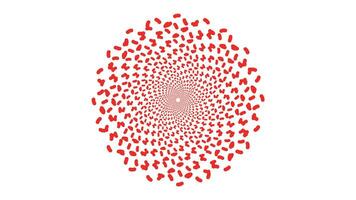 Abstract spiral round vortex style red and white background. This simple spinning style background can be used as valentine love background. vector