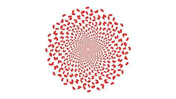 Abstract spiral round vortex style red and white background. This simple spinning style background can be used as valentine love background. vector