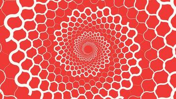 Abstract spiral round vortex style red and white background. This simple spinning style background can be used as valentine love background. vector