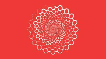 Abstract spiral round vortex style red and white background. This simple spinning style background can be used as valentine love background. vector