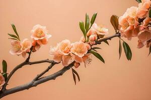 AI generated Peach Bloom on the 2024 Color of the Year Peach Fuzz Background photo