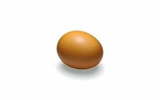 un huevo es mostrado en un blanco antecedentes foto